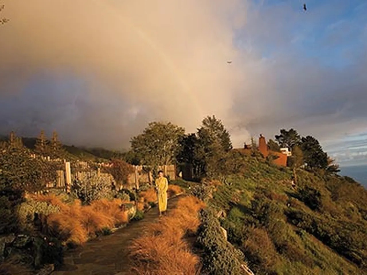 A golden evening sky above a hillside garden